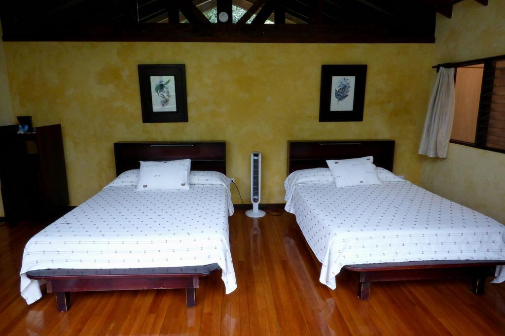 Tenorio Lodge Bijagua Pokój zdjęcie